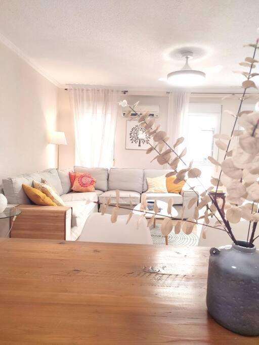 Charming & Spacious Apartment In Historic Centre & Short Walk To Beach Αλικάντε Εξωτερικό φωτογραφία