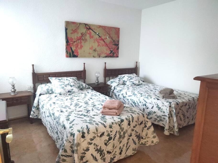 Charming & Spacious Apartment In Historic Centre & Short Walk To Beach Αλικάντε Εξωτερικό φωτογραφία